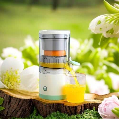 Portable Juicer